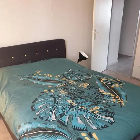 Mulhouse,grand Cosy&lumineux, 78m2 , Pour 5 Personnes Apartment Mulhouse